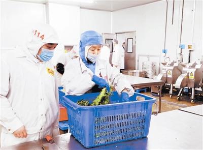 天津確保校園食品安全 監(jiān)管先行，教育軟件賦能